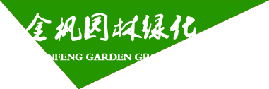 祥九瑞盈